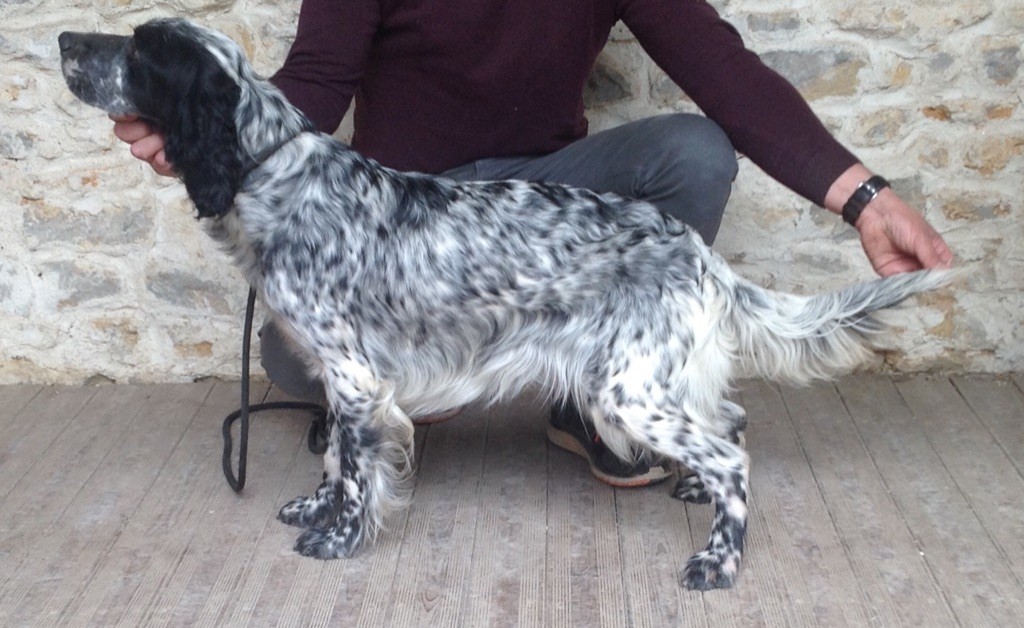 Maddy De La Croix Sainte Victoire