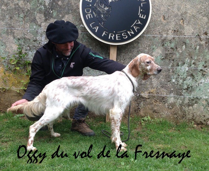 Oggy Du Vol De La Fresnaye