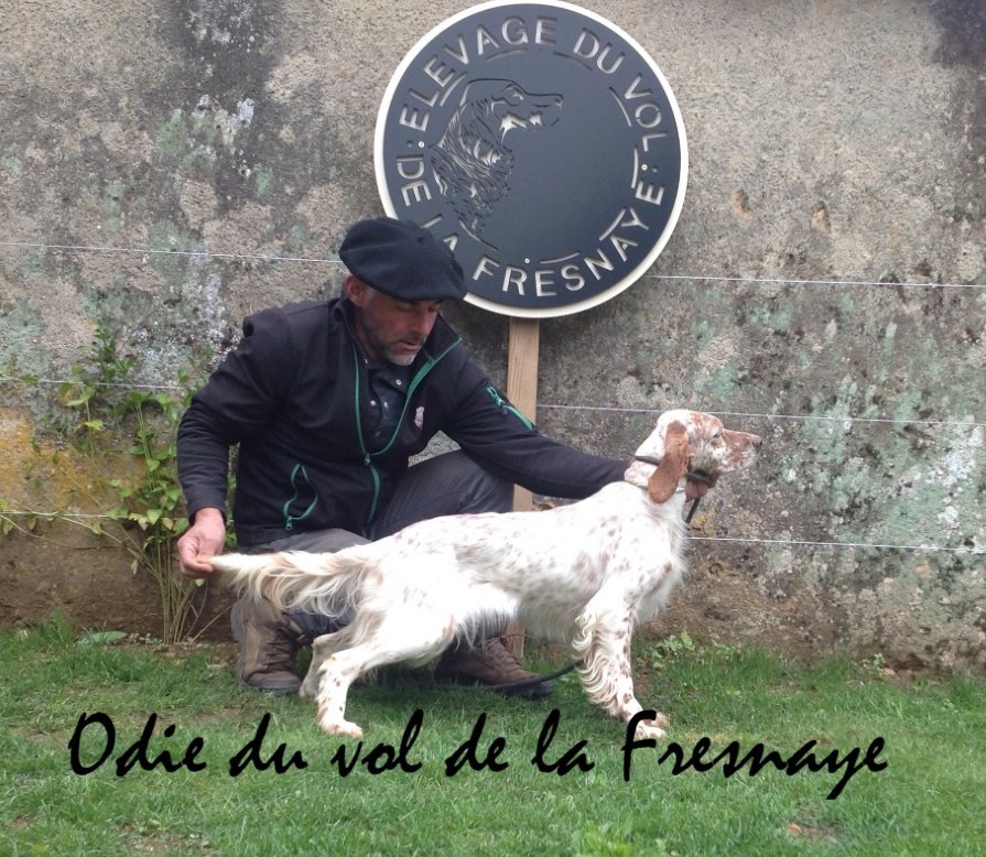 Odie Du Vol De La Fresnaye